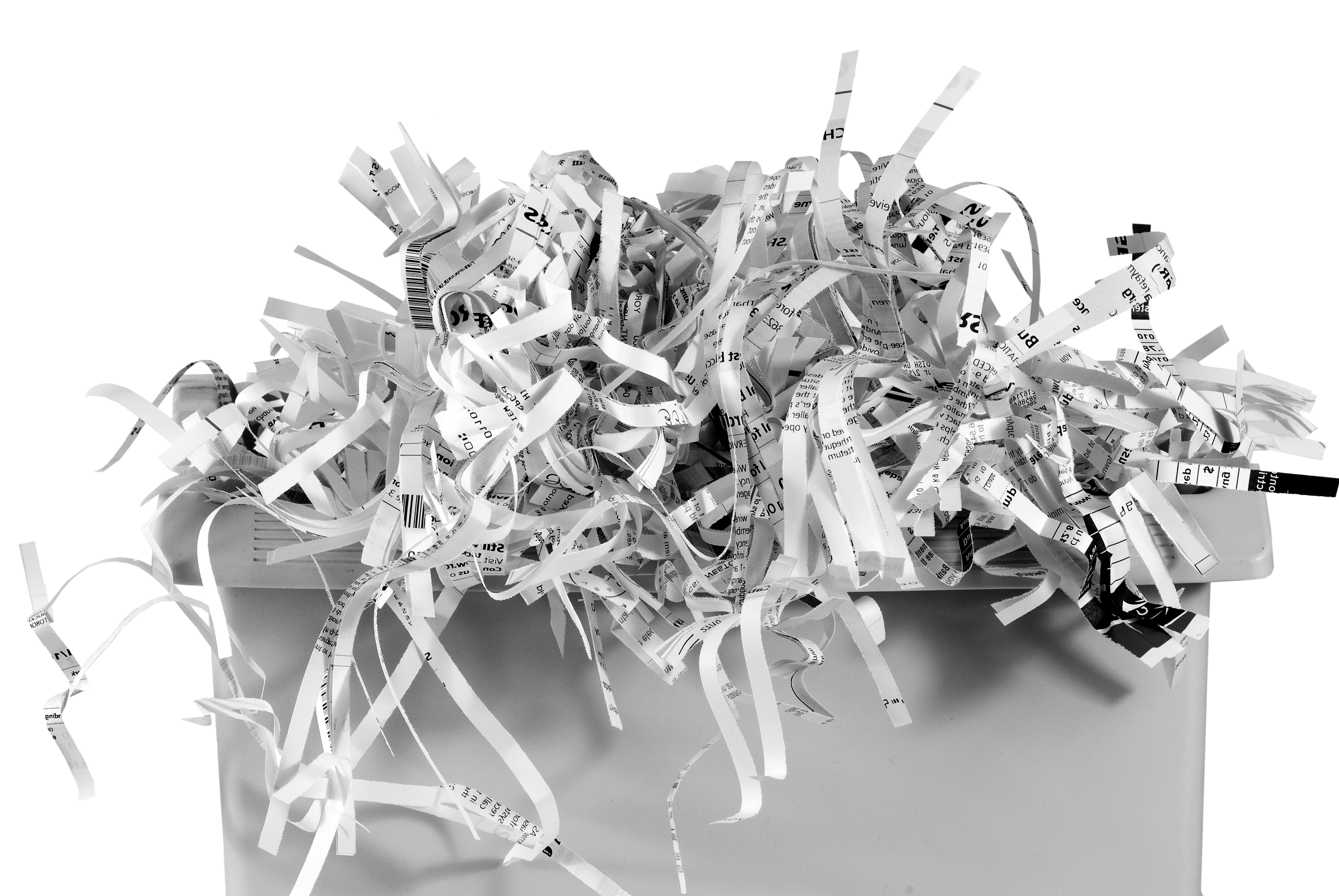 Bay Shred Shredding Services 1515 Chestnut St., San Francisco, CA 94123